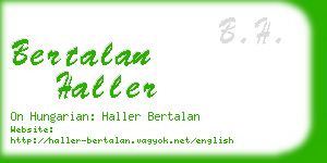 bertalan haller business card